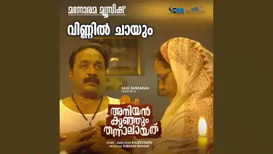 Vinnil Chayum Lyrics English Translation | Aniyankunjum Thannalayathu | Vishnu Raj