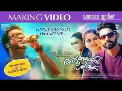 Vinnil Minnum Tharame Lyrics Meaning – Adukkalayil Paniyundu | Haricharan