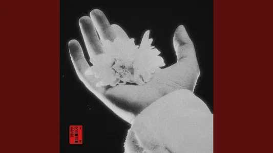 אולי זה נגמר Lyrics Meaning – שחור זוהר | Hila Ruach