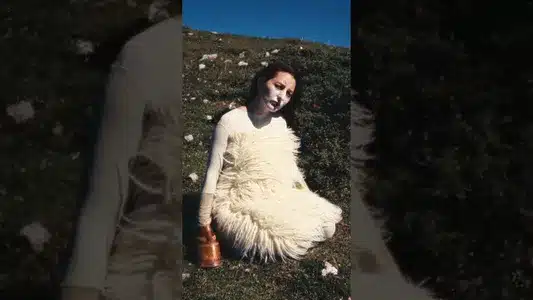 Weidentier Lyrics With English Meaning - Rahel | Rahel Kislinger