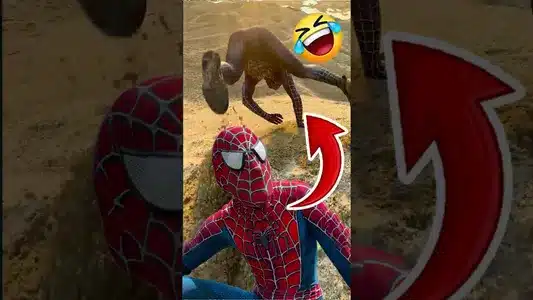 Whiskey Piña Lyrics Translation – Noches De Verano Ii | Proximo Nivel