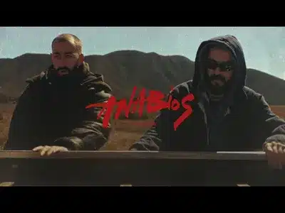 Wisdom Lyrics Translation | Anabios | Miyagi | Эндшпиль