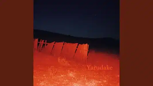 Yarudake Lyrics English (with Translation) | Bonbero