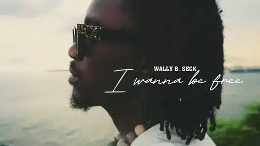 Yaye Lyrics Meaning - I Wanna Be Free | Wally B. Seck