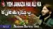 Yeh Janaza Hai Ali Ka Lyrics {English Translation} — Nadeem Sarwar