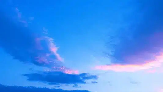 Youth Terrorism Lyrics English Meaning | New Contemporary | Orlik