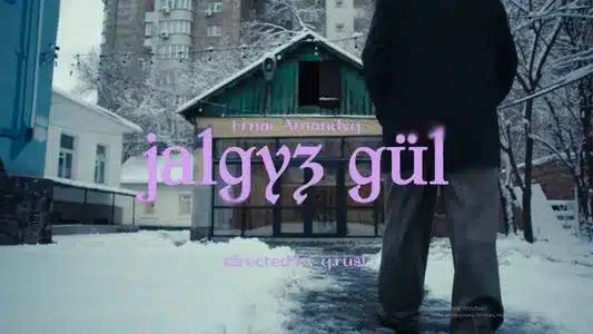 Жалғыз Гүл Lyrics With English Meaning: Ernar Amandyq
