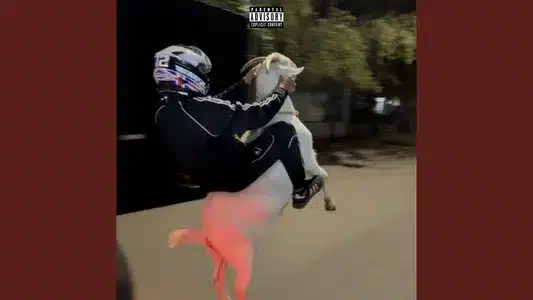 57 Lyrics [English Meaning] — Bakan | Kavak