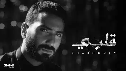 Alby Lyrics Translated to English: Sharnouby