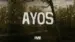 Ayos Lyrics {English Meaning} — I Belong To The Zoo | Rodolfo Guerrero