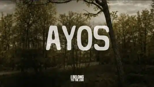 Ayos Lyrics {English Meaning} — I Belong To The Zoo | Rodolfo Guerrero