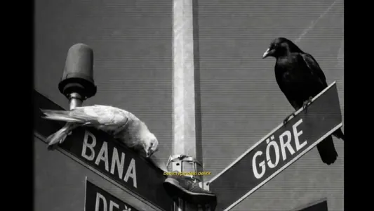 Bana Göre Değil Hiç Lyrics (with English Meaning): Goko404 | Kri̇Z