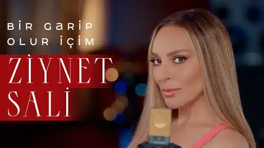 Bir Garip Olur İÇim Song Meaning & English Lyrics: Ziynet Sali