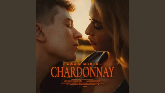 Chardonnay Lyrics Translation — V Chaosu Je Krása | Adam Mišík