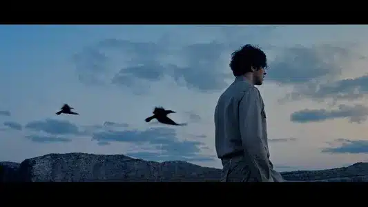 Çölde Bahar Lyrics Translation (in English): Canozan