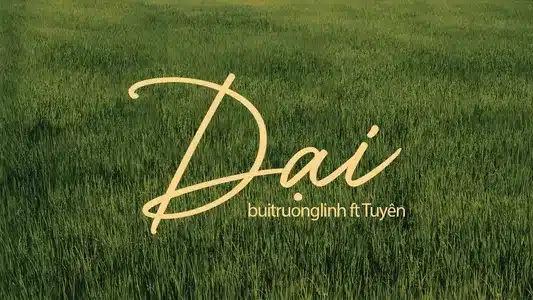Dại Lyrics With English Meaning – Buitruonglinh