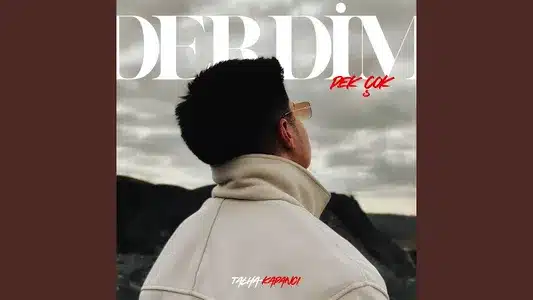 Derdim Pek Çok Lyrics Translation (in English) – Talha Kapancı