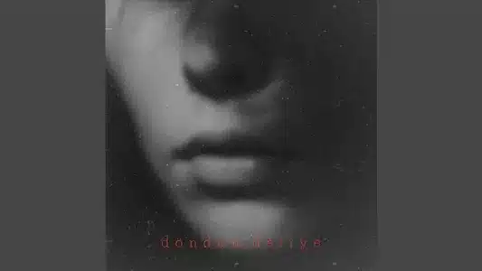 Döndüm Deliye Lyrics [English Meaning] — Allame | Harim