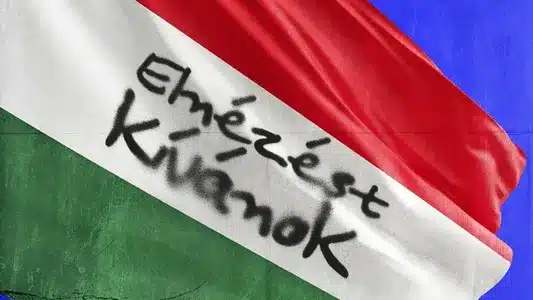 Elnézést Kívánok Lyrics Translation – Fel Nem | Punnany Massif