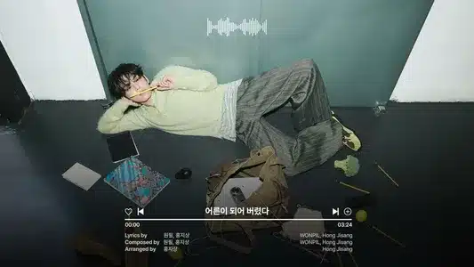 어른이 되어 버렸다 (Already Grown Up) Lyrics Translation: Unpiltered | Wonpil