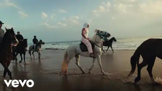 Femmina Lyrics {English Meaning} — Madfingerz | Rhove