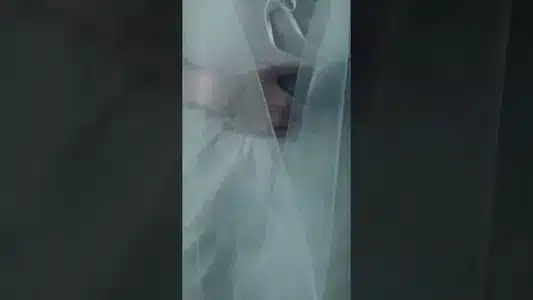 Fruto Do Tempo Lyrics Meaning: Brutal Paraíso | Luísa Sonza