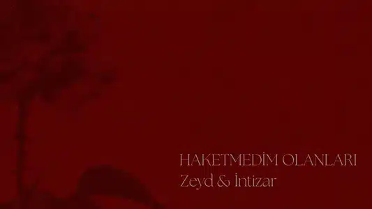 Haketmedim Olanları Lyrics (English Meaning) – İNtizar | Zeyd
