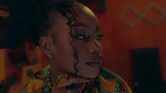 Ingia Ndani Lyrics Translated to English: Njerae