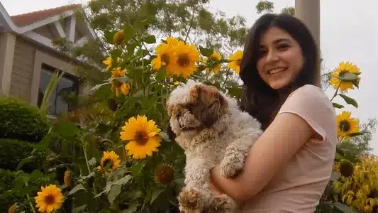 Iraaday Lyrics English (Translation) | Abdul Hannan | Rovalio