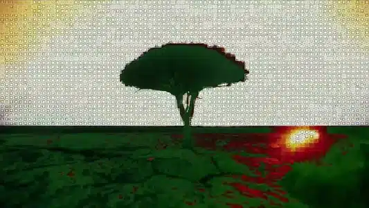 Kamili Lyrics With English Translation | Francis Mercier | Idd Aziz Kunya