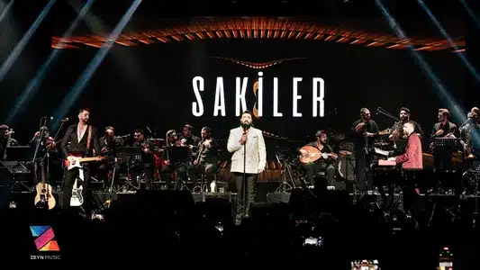 Kış Güneşi Lyrics (with English Meaning) — Sakiler