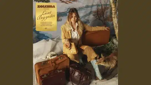 Livet Begynder Lyrics English Translation - Nationens Skrammer | Soleima