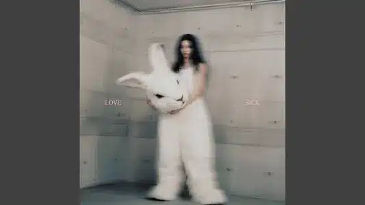 Lovesick Lyrics With English Translation: Kid Milli