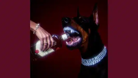 Mad/Hosh Lyrics (English Meaning) – Sevashi