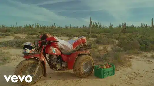 Mangos Lyrics English Meaning | Vivo En El Tiempo (Ama) | Caloncho