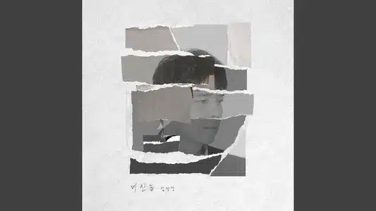 미친놈 (Crazy Fool) Lyrics (with English Meaning) – Im Chang Jung