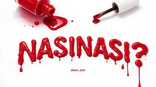 Nasinasi? English Lyrics and Track Meaning: Şehinşah