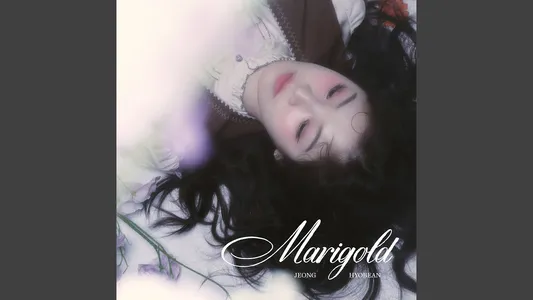 노랫말 (Page Of Lyrics) Lyrics English Meaning – Marigold | Jeong Hyo Bean