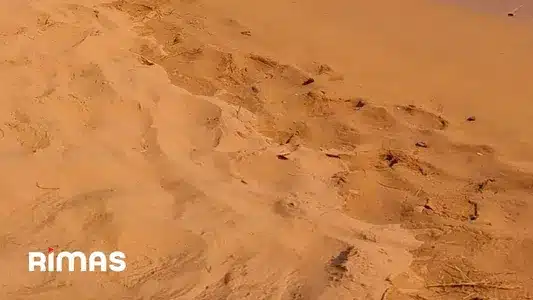 Party Lyrics Meaning — Un Verano Sin Ti | Bad Bunny | Rauw Alejandro