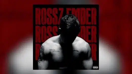 Rossz Ember Lyrics [English Meaning] - Fodor Liza | T. Danny