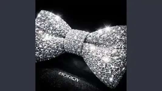 Şik English Lyrics and Track Meaning — Borqy