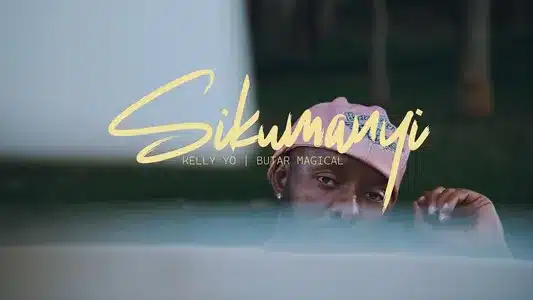 Sikumanyi Lyrics Translation (in English): Eddy Kenzo | Edrisah Kenzo Musuuza
