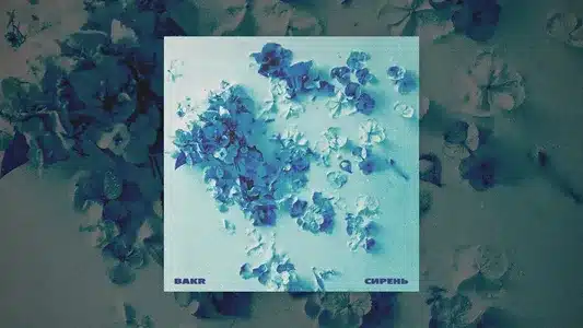 Сирень Lyrics {English Translation}: Bakr