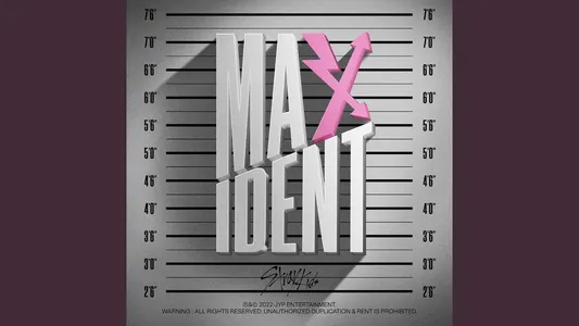 Taste Lyrics Meaning: Maxident | Stray Kids