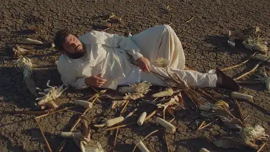 Trueno Lyrics (English Meaning) - Porter