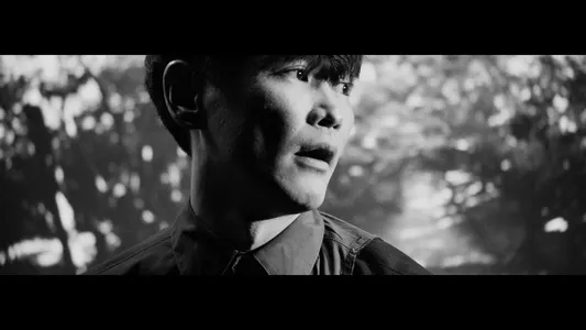 Tsuki No Wan Lyrics Translation: Adapt | Sakanaction