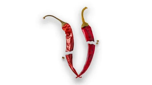 Tt / Shutdown Lyrics [English Meaning] – Seedhe Maut