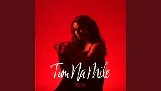 Tum Na Mile Lyrics (with English Meaning) — Shalmali Kholgade