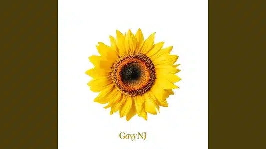 울컥 (Sudden Sorrow) (2026) Lyrics Meaning – The Gavy Nj : Ii | Gavy Nj