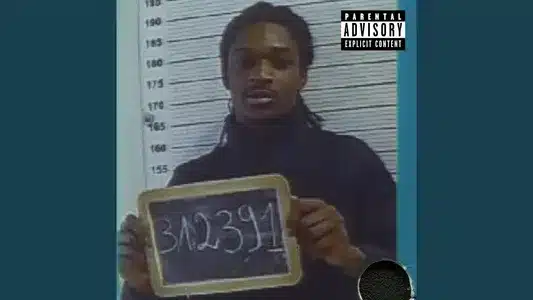 Verisure Lyrics Meaning — Numéro D'Écrou | La Rvfleuze